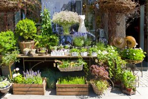 Boutique Gartengenmöbel und Gartenaccessoires Gartenzubehör aus Berlin