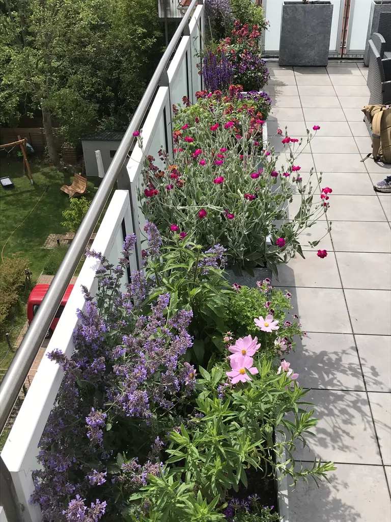 Referenz-Dachterrasse