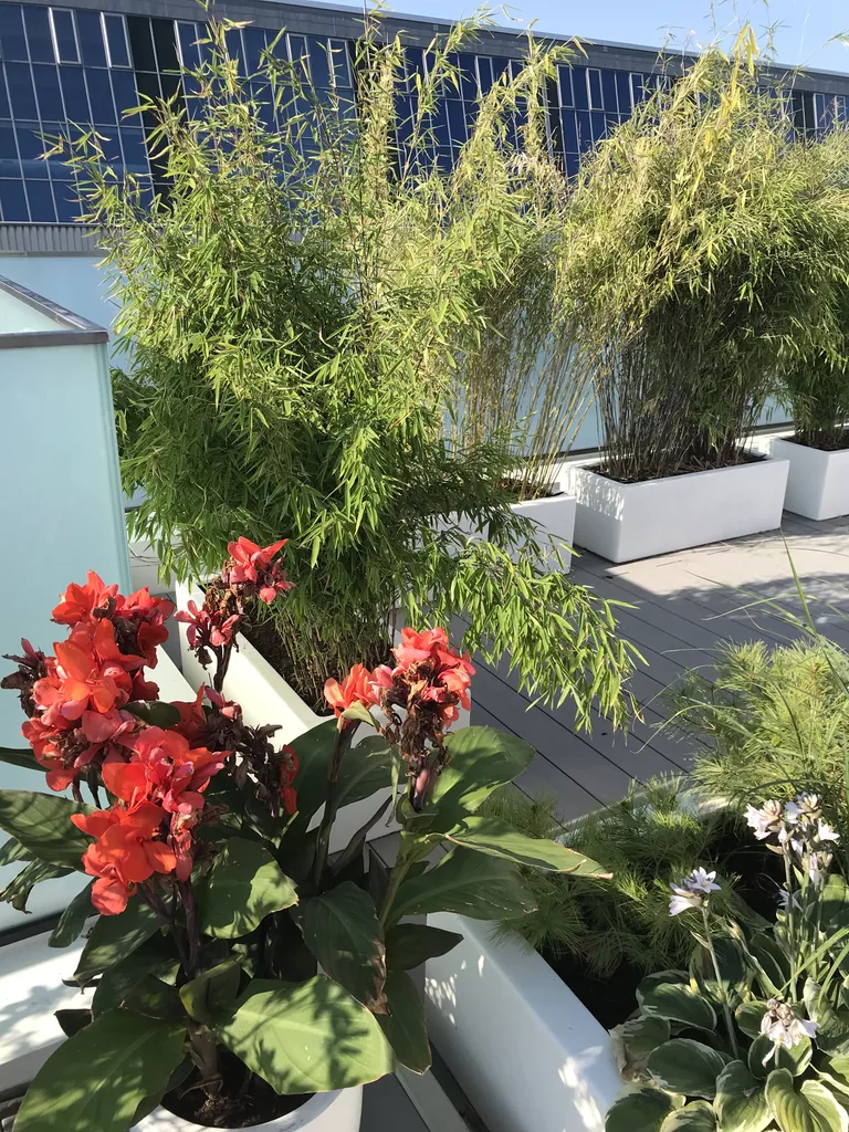 Referenz-Dachterrasse