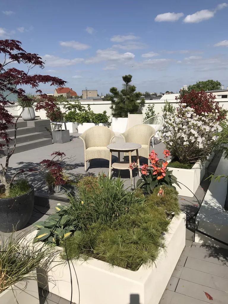 Referenz-Dachterrasse