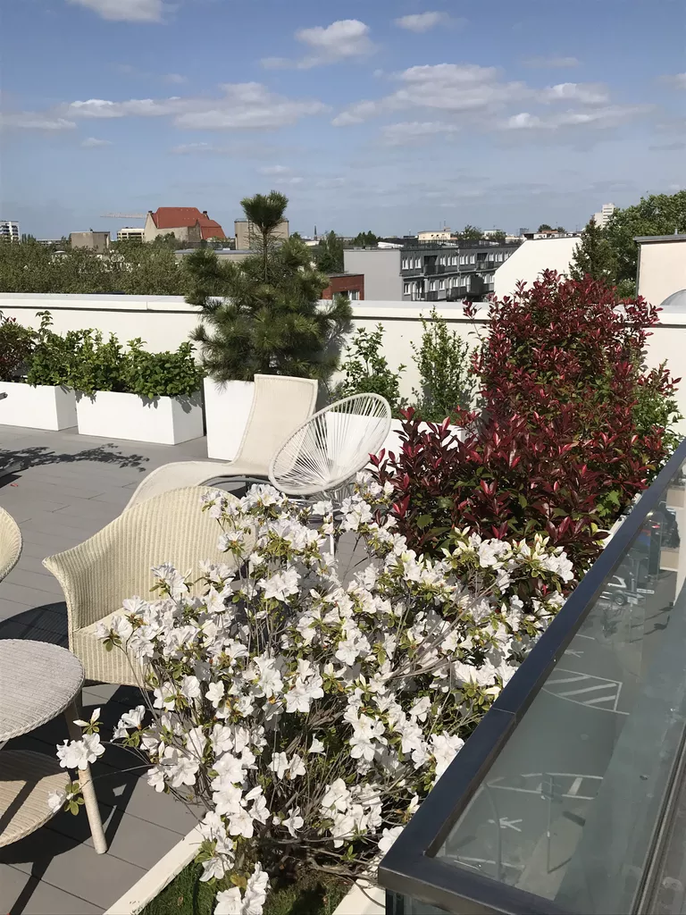 Referenz-Dachterrasse