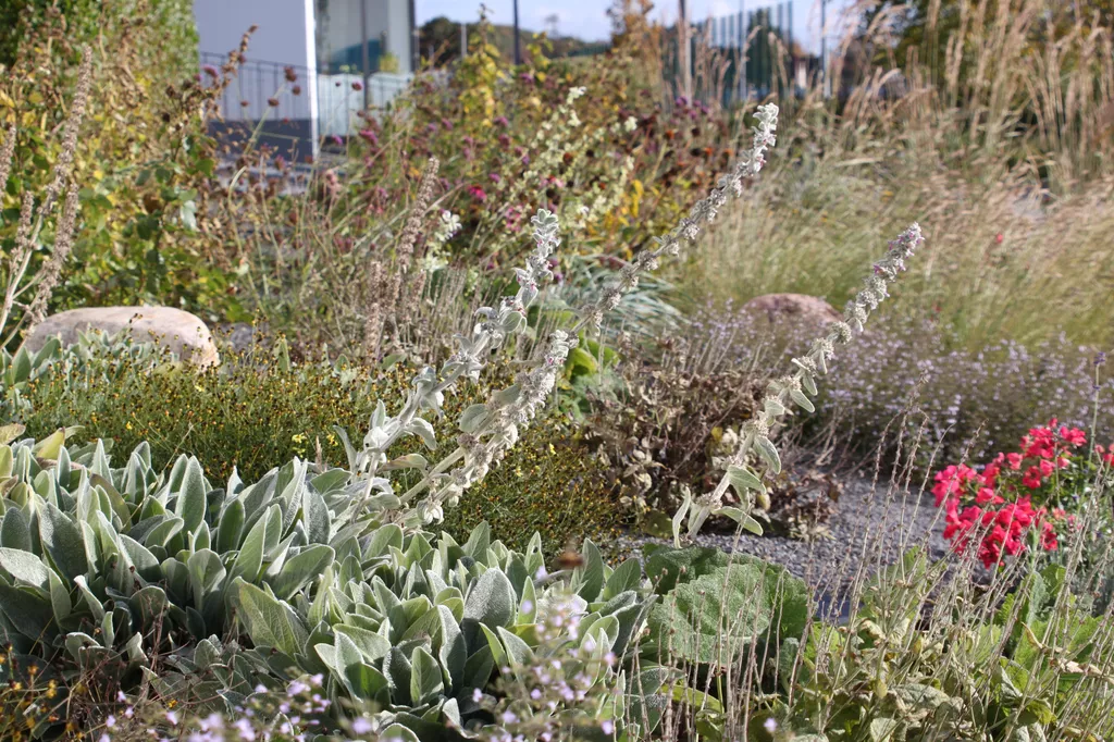 Referenz-Klimagarten nach 2 Jahren