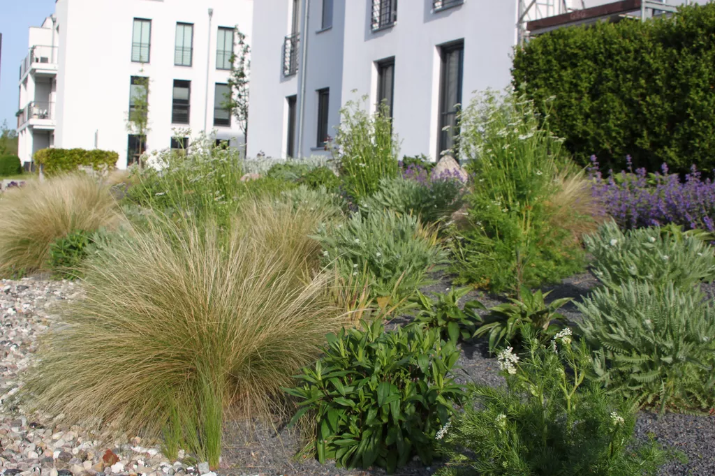 Referenz-Klimagarten nach 2 Jahren