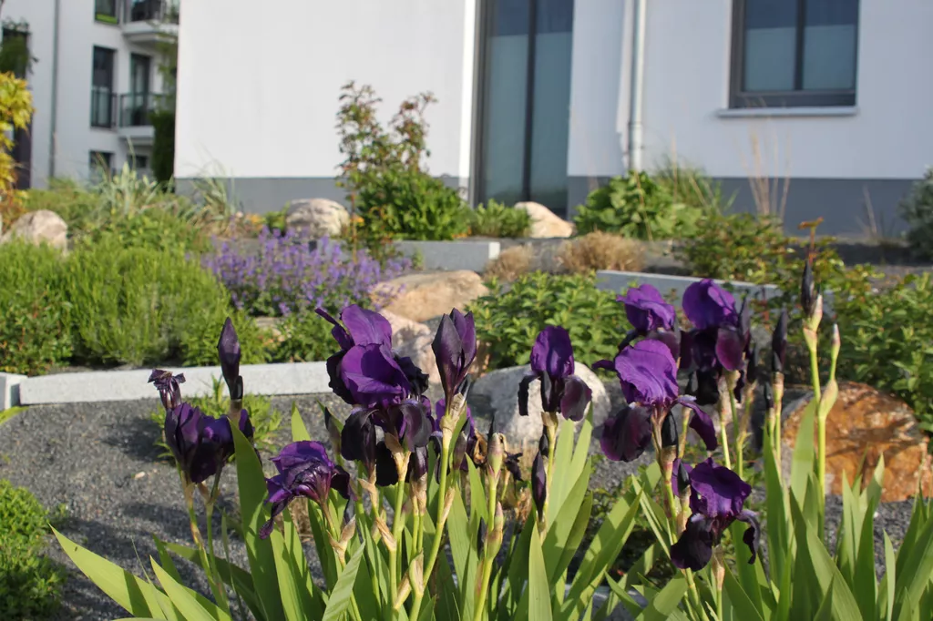 Referenz-Klimagarten nach 2 Jahren