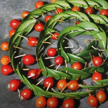 Bastelwerkstatt, Gartenseminare und kreativ Workshops für Kinder und Erwachsene in der GartenWerkstatt Berlin