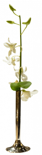 festliche Tischdeko für jeden Anlass Ideen für Tischdekoration mit Naturmaterialien